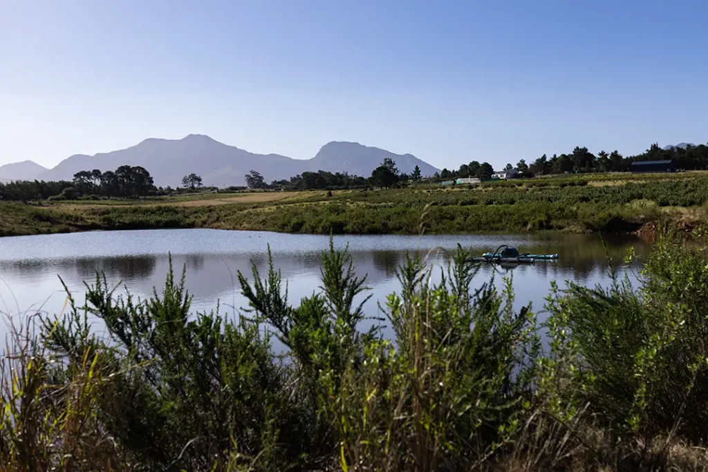 Flora bay farm