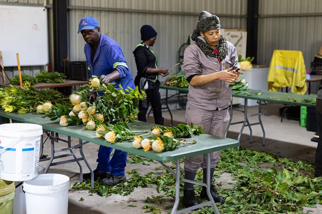 People working at Flora Bay
